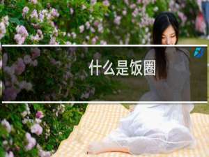 什么是饭圈（饭圈介绍）