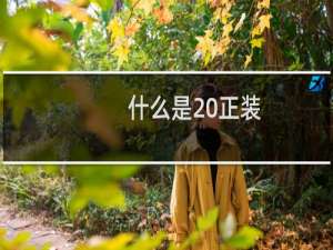 什么是 正装