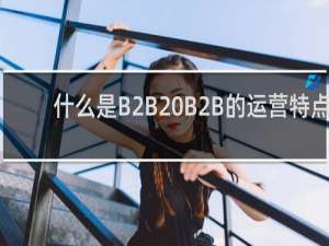 什么是B2B B2B的运营特点