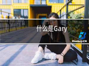 什么是Gary