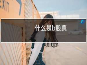 什么是b股票