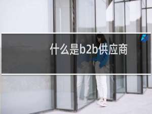 什么是b2b供应商
