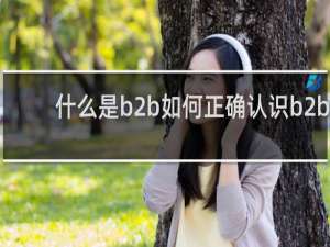 什么是b2b如何正确认识b2b