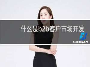 什么是b2b客户市场开发