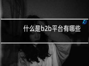 什么是b2b平台有哪些