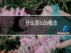 什么是b2b概念