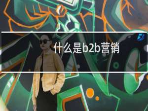 什么是b2b营销