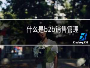 什么是b2b销售管理