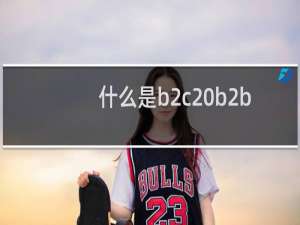 什么是b2c b2b