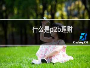 什么是p2b理财