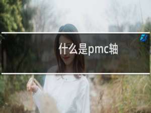什么是pmc轴