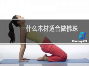 什么木材适合做佛珠