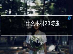 什么木材 防虫