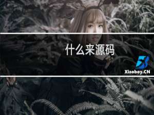 什么来源码