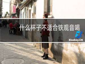 什么杯子不适合铁观音喝