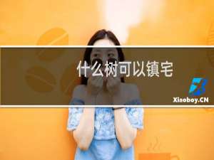 什么树可以镇宅