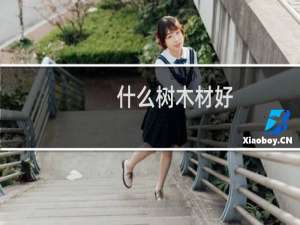 什么树木材好