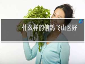 什么样的信鸽飞山区好