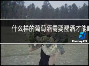 什么样的葡萄酒需要醒酒才能喝