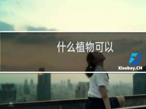 什么植物可以