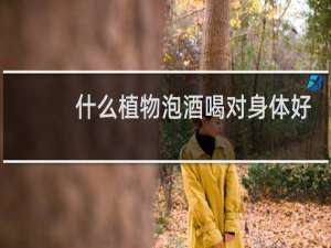 什么植物泡酒喝对身体好
