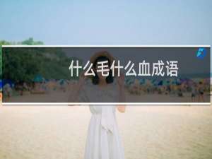 什么毛什么血成语