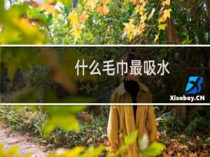 什么毛巾最吸水