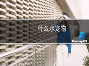 什么水宠物