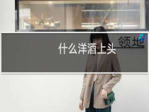 什么洋酒上头