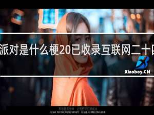 什么派对是什么梗 已收录互联网二十四孝什么梗