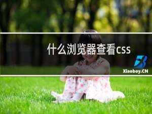 什么浏览器查看css