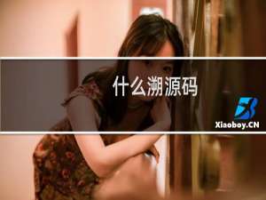什么溯源码