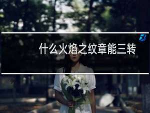 什么火焰之纹章能三转