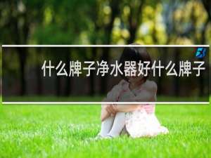 什么牌子净水器好什么牌子