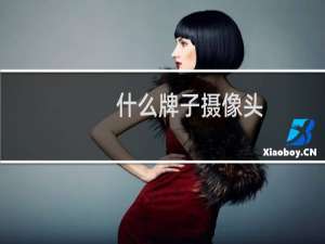 什么牌子摄像头