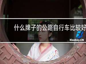 什么牌子的公路自行车比较好