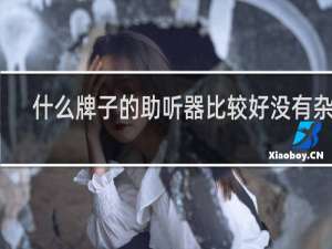 什么牌子的助听器比较好没有杂音