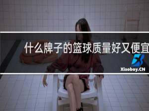 什么牌子的篮球质量好又便宜