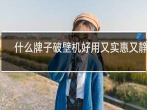 什么牌子破壁机好用又实惠又静音