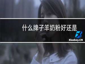 什么牌子羊奶粉好还是