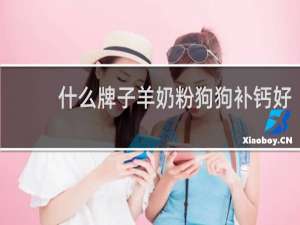 什么牌子羊奶粉狗狗补钙好