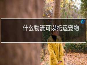 什么物流可以托运宠物