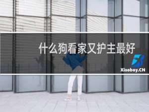 什么狗看家又护主最好