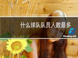 什么球队队员人数最多