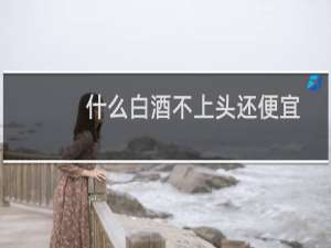 什么白酒不上头还便宜