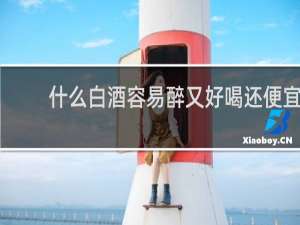 什么白酒容易醉又好喝还便宜