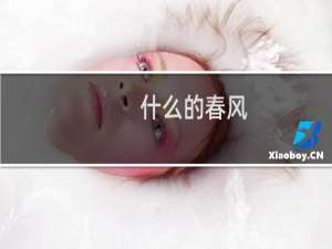 什么的春风（什么的春风）