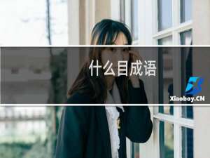什么目成语