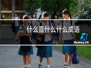 什么直什么什么成语