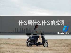 什么眉什么什么的成语